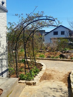 20160317_110250.jpg