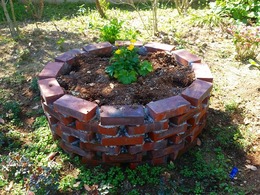 20160317_110324.jpg