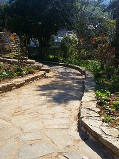 20160317_110416.jpg