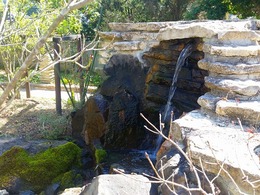 20160317_110502.jpg
