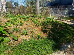 20160317_110703.jpg