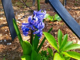 20160317_112834.jpg