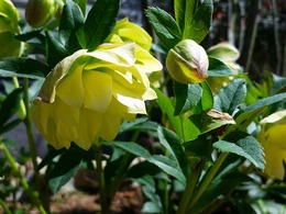 20160317_112928.jpg