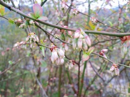 20160319_154859.jpg