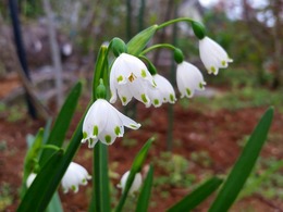 20160319_155321.jpg