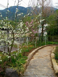 20160319_155355.jpg