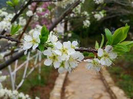 20160319_155428.jpg