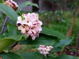 20160319_155517.jpg