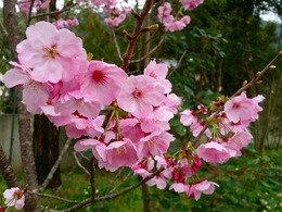 20160319_155615.jpg