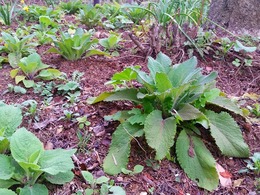 20160319_155639.jpg