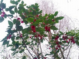 20160319_160051.jpg