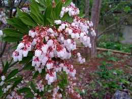 20160319_160216.jpg