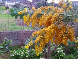 20160319_161213.jpg