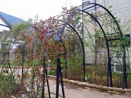 20160319_161539.jpg