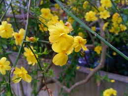 20160319_162726.jpg