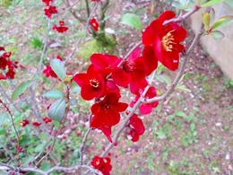 20160319_162850.jpg