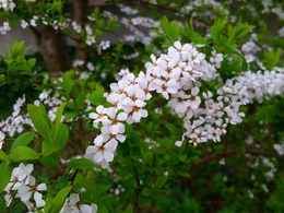 20160319_162949.jpg