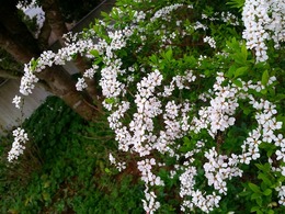 20160319_163002.jpg
