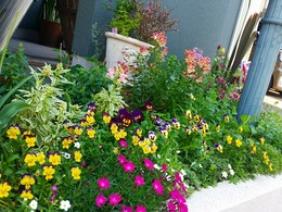 20160430_120303.jpg