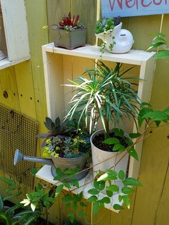 20160430_120558.jpg