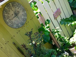 20160430_120637.jpg
