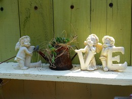 20160430_120802.jpg