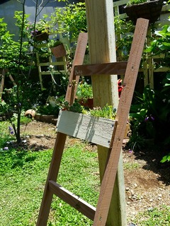 20160430_120901.jpg