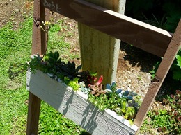 20160430_120930.jpg