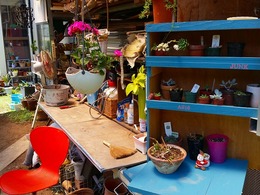 20160430_121018.jpg