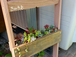 20160430_121036.jpg