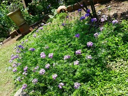 20160430_121140.jpg