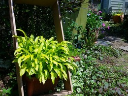 20160430_121226.jpg