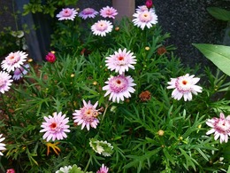 20160430_121255.jpg