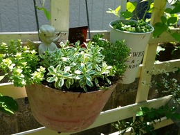 20160430_121419.jpg