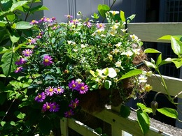 20160430_121429.jpg