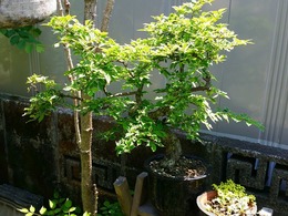 20160430_121504.jpg