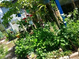 20160430_121559.jpg