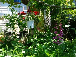 20160430_121657.jpg