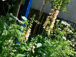 20160430_121710.jpg