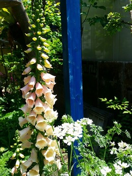 20160430_121726.jpg