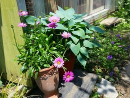 20160430_121738.jpg
