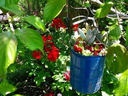 20160430_121802.jpg
