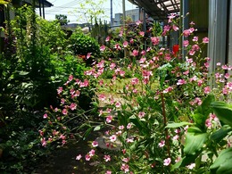 20160430_121854.jpg