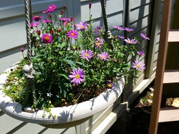 20160430_121906.jpg