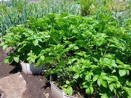 20160430_122150.jpg