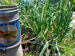20160430_122230.jpg
