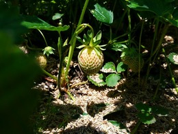 20160430_122325.jpg