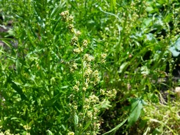 20160430_122350.jpg