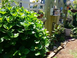 20160430_122654.jpg