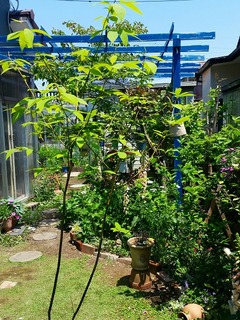 20160430_122718.jpg
